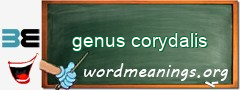 WordMeaning blackboard for genus corydalis